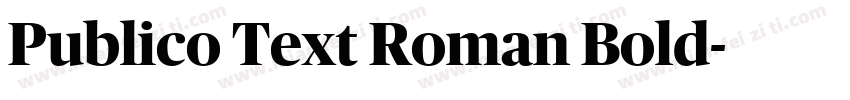 Publico Text Roman Bold字体转换